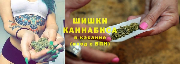 PSILOCYBIN Осташков