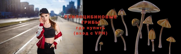 PSILOCYBIN Осташков