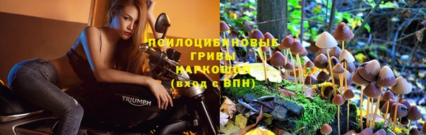 экстази Осинники