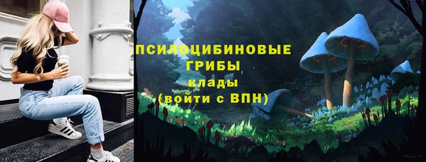 PSILOCYBIN Осташков